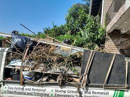 Best Hoarding Cleanup  in Monmouth Beach, NJ